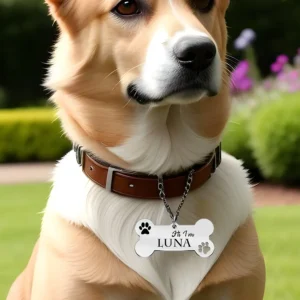 تعليقة فضية مميزة لحيوانك الأليف من تصميمك